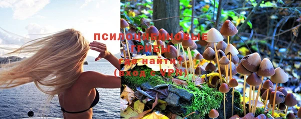 гидропоника Алзамай