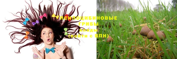 хмурый Алексеевка